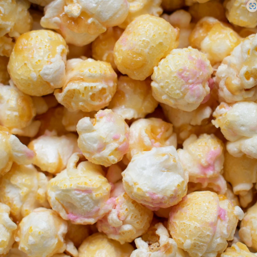ToastedMarshmallowPopcornMarleyGifting